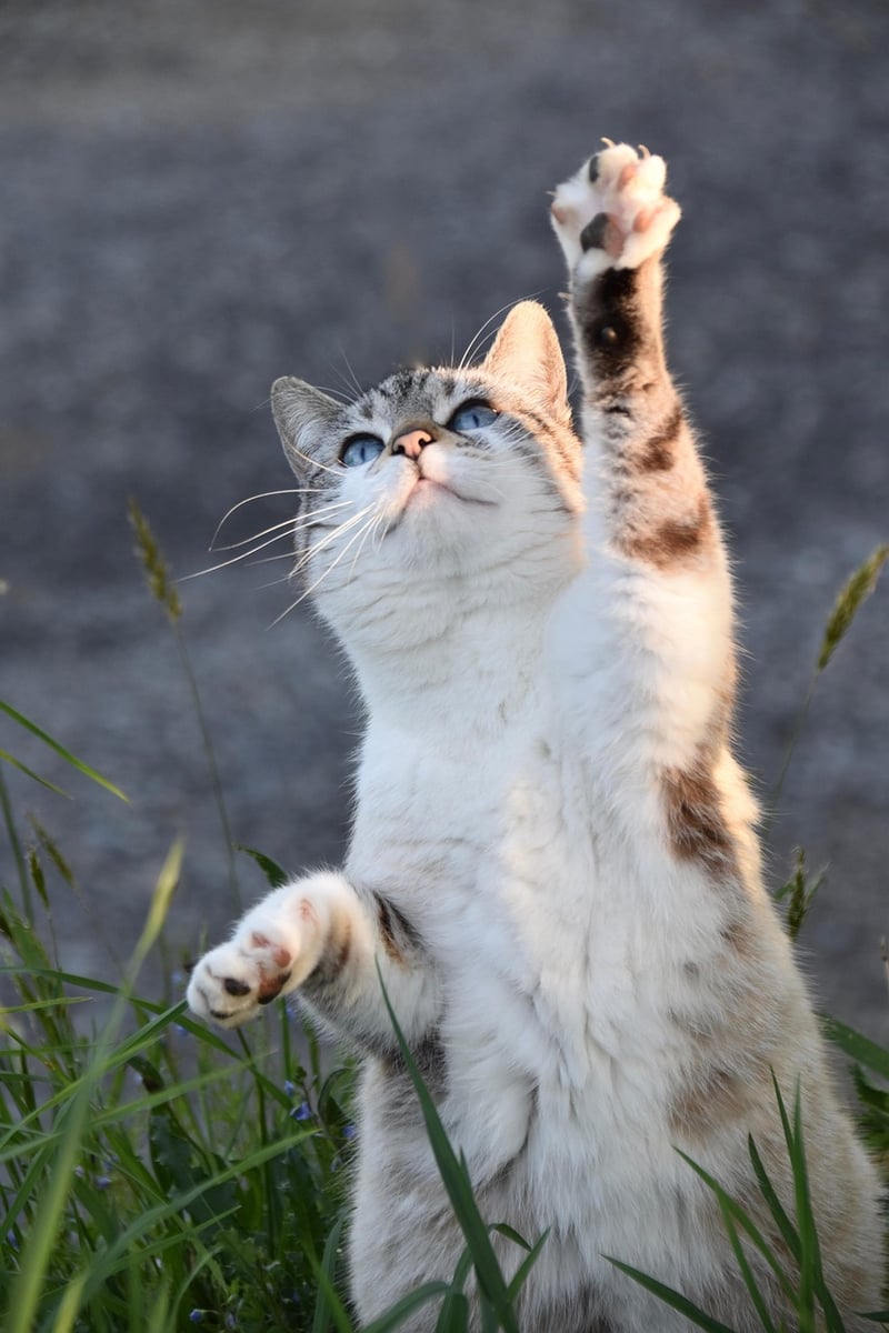 Exercise